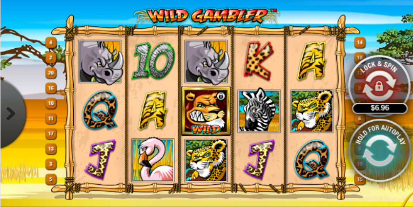 Wild Gambler